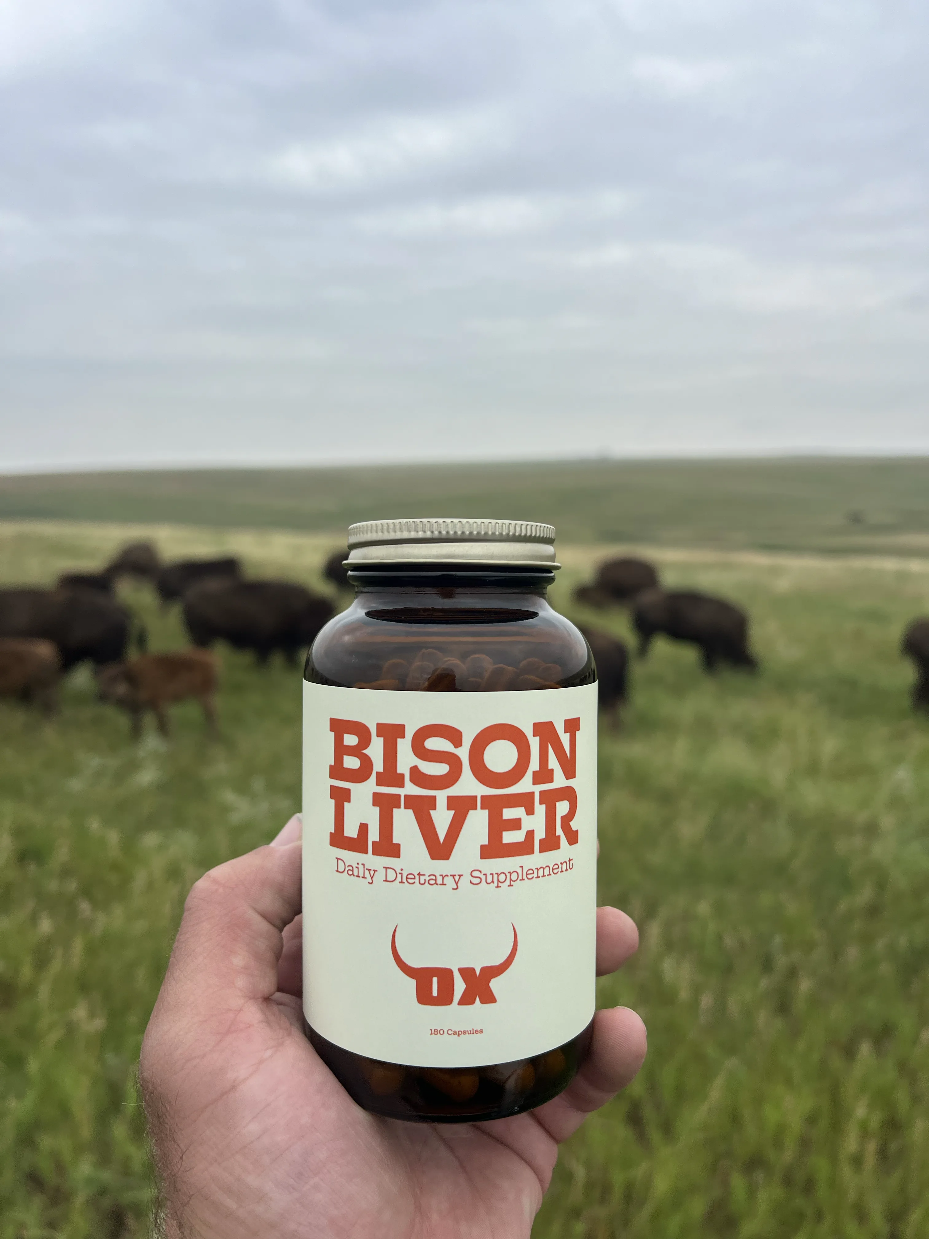 OX Bison Liver bottle held in front of a bison herd