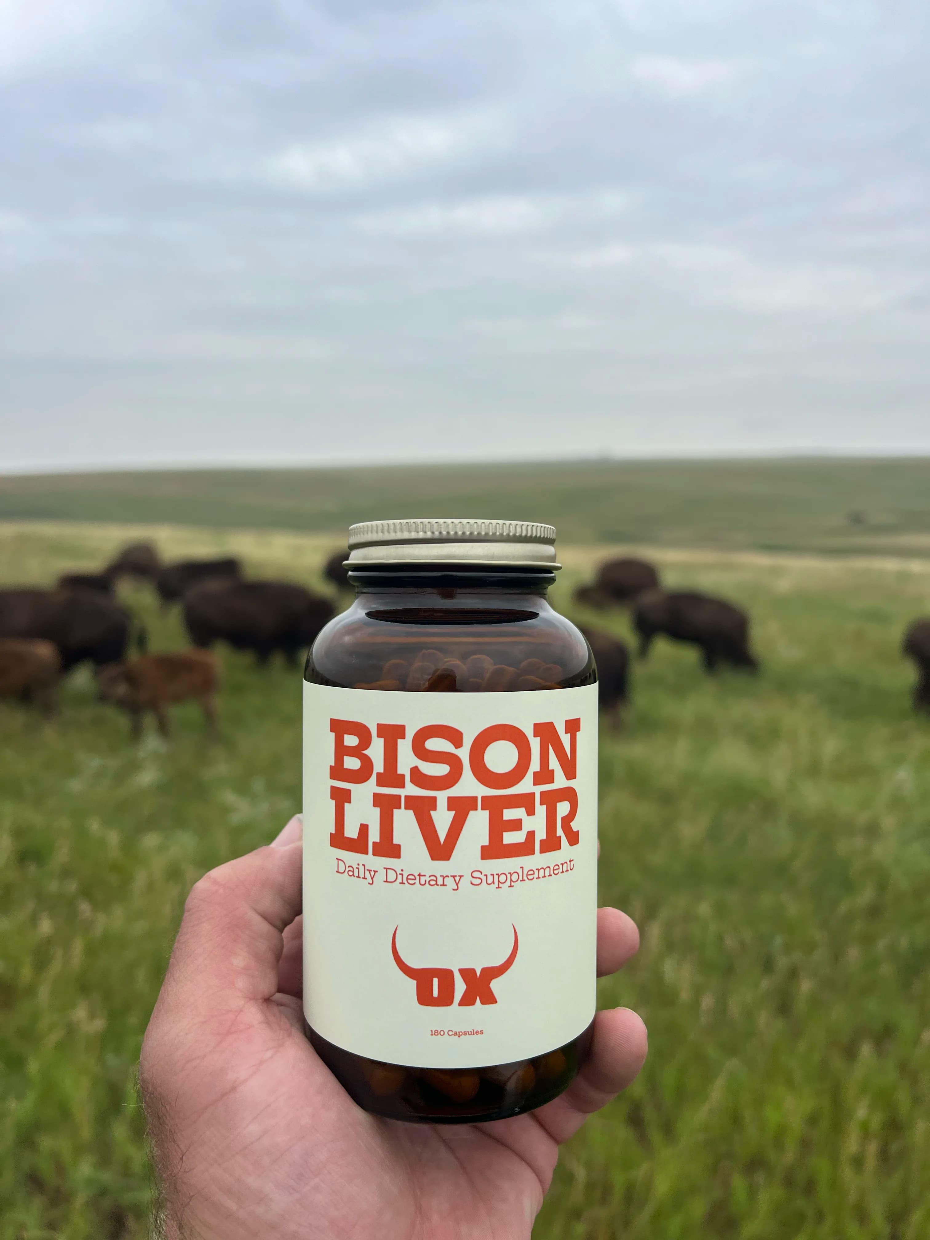 OX Bison Liver bottle held in front of a bison herd