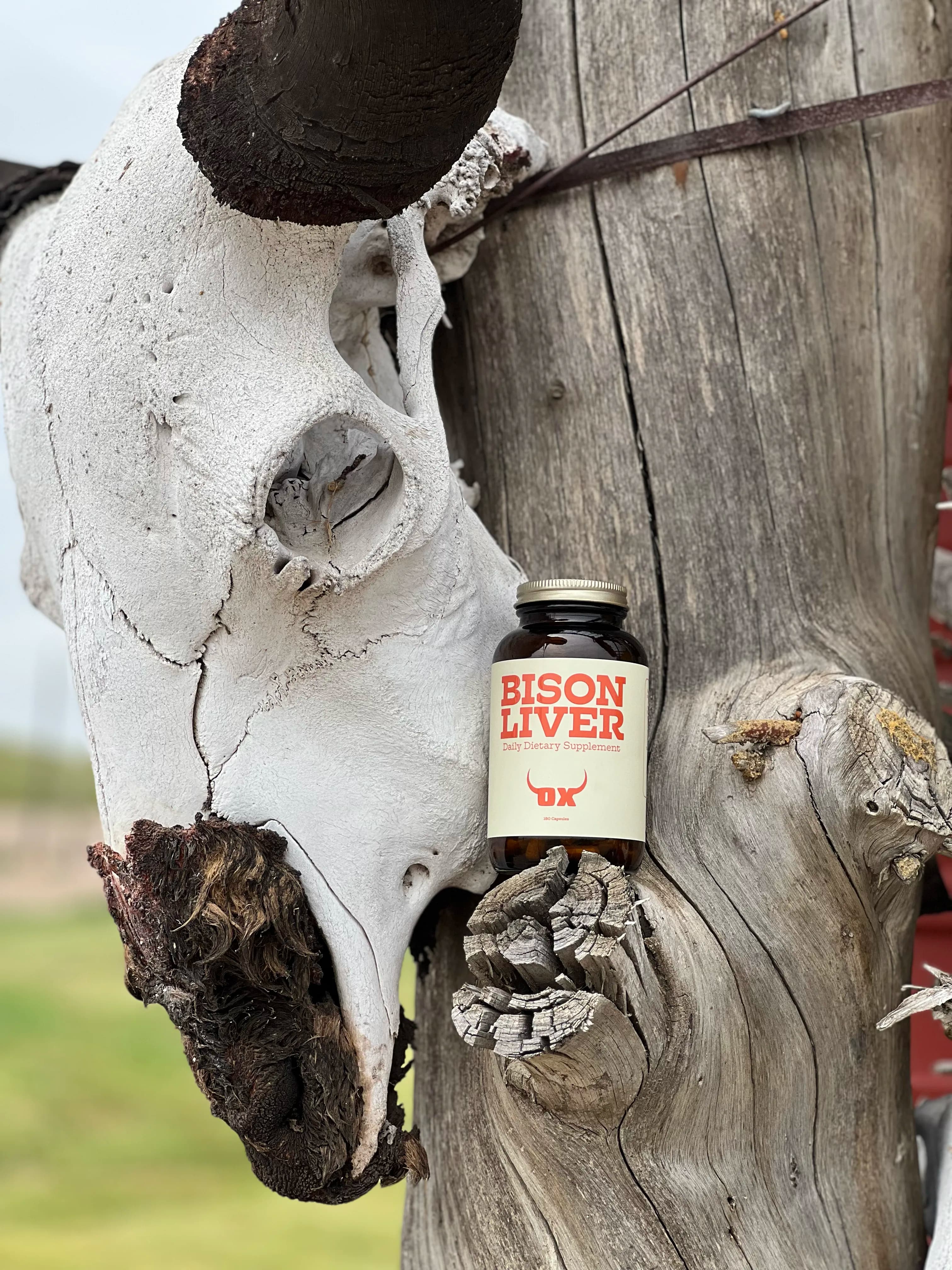OX Bison Liver bottle beside a bison skull