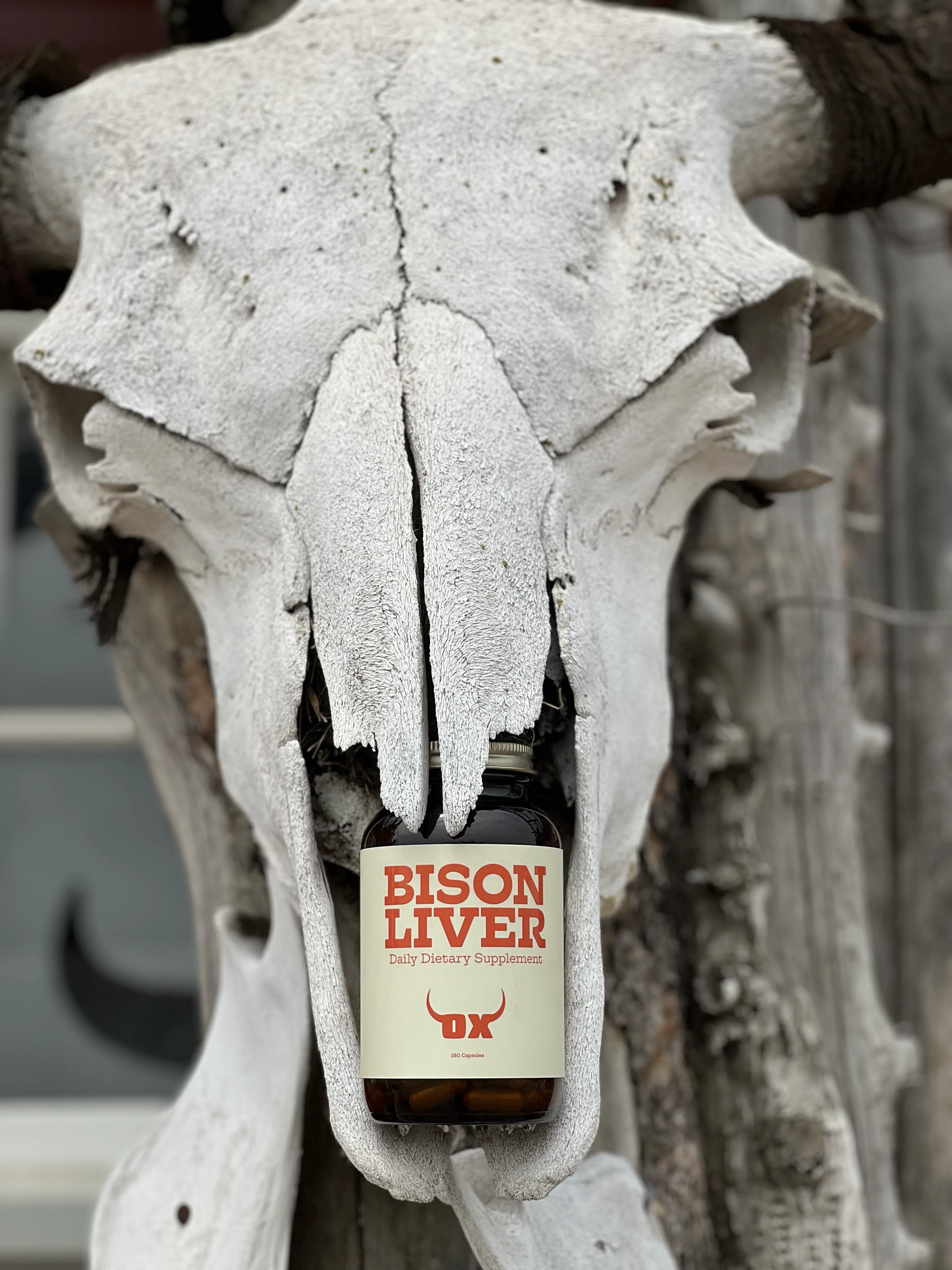 OX Bison Liver bottle framed by a bison skull